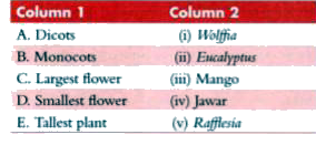 Match the entries of  Column 1 with those of Column 2.