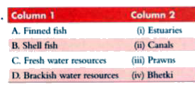 Match the entries of Column 1 with those of Column 2.