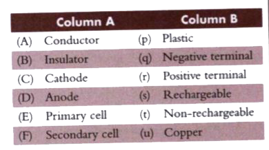 Match the following columns.
