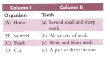 Match Column I with Column II.