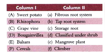 Match Column I with Column II.
