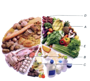 (i) Identify the nutrients A, B, C, D, E.   (ii) Give the functions of A, B, C, D, E.   (iii) Identify the substance missing in balanced diet.