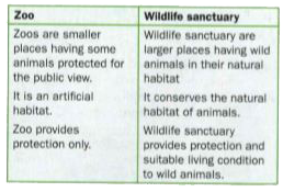 Discuss the stricking difference between zoo and sanctuary.