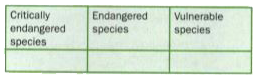 Sort and list the animals given below in the correct columns.   Polar Bear, Asian Elephant, Orangutan, Blue Whale, Black Rhino, Hawksbill Turtle