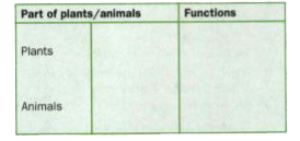 Plants and animals consist of different parts. Each part of an organism performs a specific function that is helpful for it in some way. In the table below, list any three parts of plant and animal.        Describe their functions and  complete the table. (For example, in animals, the lungs help in respiration )
