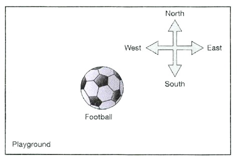 The football in the picture was moved towards the east by a force of magnitude 50 N. Which of these options correctly represents the force applied to the football?