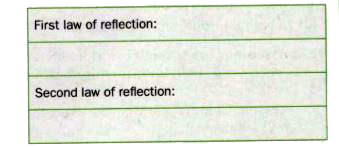 State the laws of reflection.
