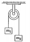 m1 = 5 kg અને m2 = 4.8 kg ના દળ ગરગડી પરથી પસાર કરેલ એક દોરીના બે છેડે આકૃતિમાં દર્શાવ્યા મુજબ લટકાવેલ છે. ગરગડી ઘર્ષણરહિત અને ભ્રમણ કરવા માટે મુક્ત છે, તો દળ m1 અને m2 ના પ્રવેગ ગણો. (g = 9.8 m//s^2)