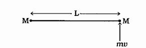 L લંબાઈ એક હલકા દ્રઢ સળિયાના છેડા પર M દળના બે એકસમાન ગોળા જડેલા છે. આ સળિયાના એક છેડા પર Mv જેટલો બળનો આઘાત લગાડવામાં આવે, તો તંત્રનો કોણીય વેગ ..... .