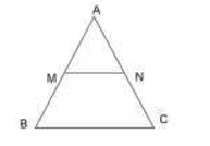 In triangle ABC, MN||BC, the area
of quadrilateral MBCN=130 sqcm. If AN : NC = 4:5, then the area of triangle MAN is:   
त्रिभुज ABC में, MN||BC है तथा चतुर्भुज MBCN का क्षेत्रफल 130 वर्ग सेमी है | यदि AN : NC = 4 : 5 है, तो त्रिभुज MAN का क्षेत्रफल ज्ञात करें |