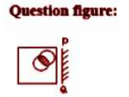 Find the correct mirror image of the given figure if mirror is placed on the right side of the figure on the line PQ