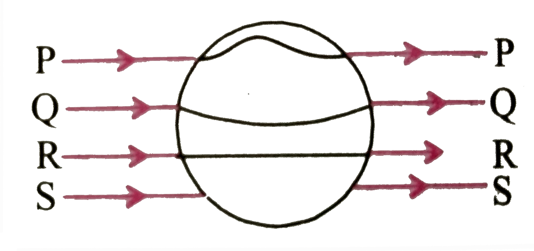 किसी ठोस धात्विक गोले को एक समान विद्युत क्षेत्र vecE में निम्न चित्रानुसार रखा गया है-       P, Q, R, S में से कौन - सी रेखा सही पथ को प्रदर्शित करती है एवं क्यों ?