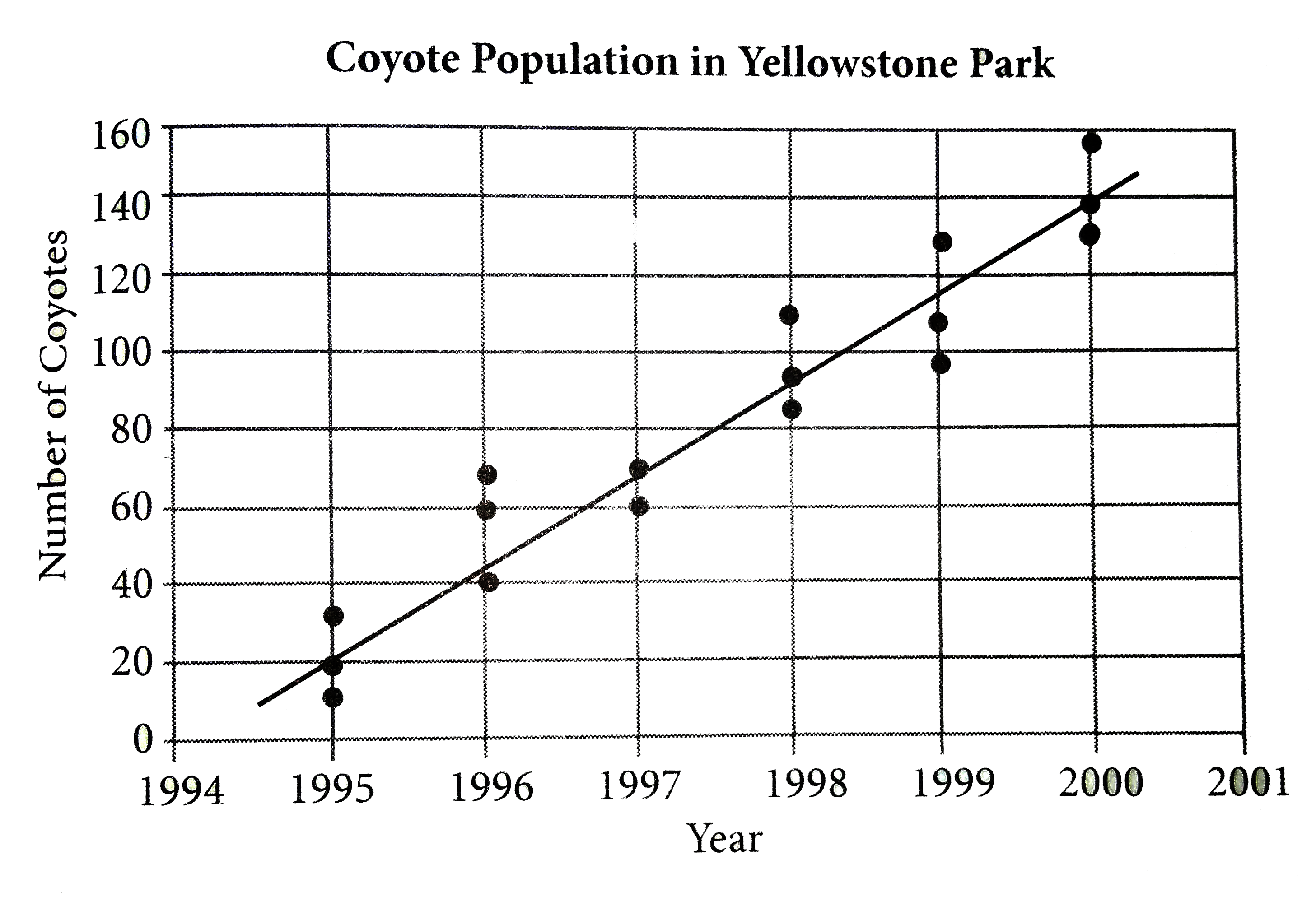 In the 1990s, the park rangers at Yellowstone National park implemented a program aimed at increasing the dwindling coyote population in  Montana. Results of studies of the coyote population in the park are shown in the scatterplot below.      Based on the line of best fit in the scatterplot above, which of the following is the closest to the average annual increase  in coyotes in Yellowstone Park between 1995 and 2000?
