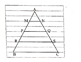 Take any ruled paper and draw a triangle ABC with its base on one of the lines. Several parallel lines will cut the triangle ABC. Select any one line among them and name the points where it meets the sides AB and AC as P and Q.