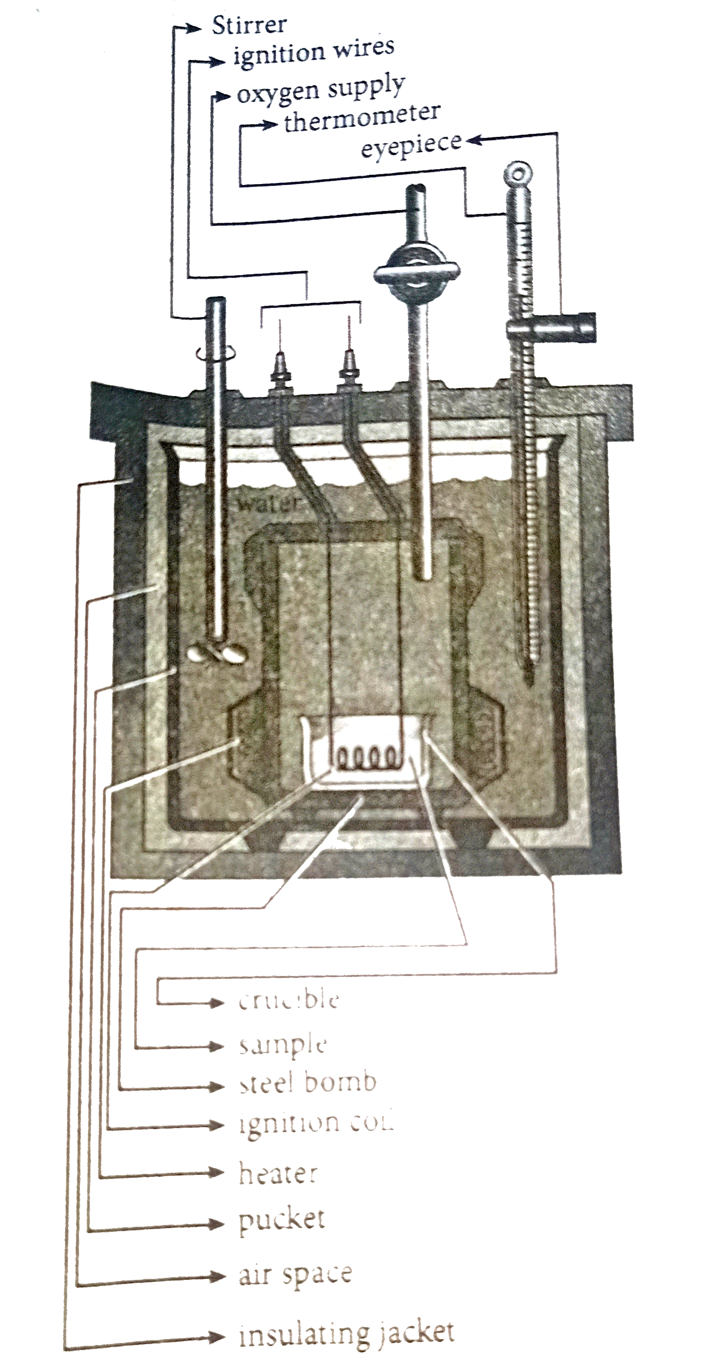 Solved Thermometer A bomb calorimeter, or constant volume