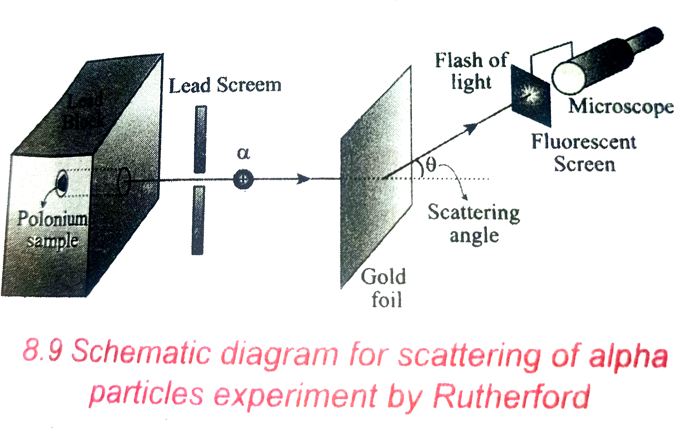 rutherford experiment alpha particles