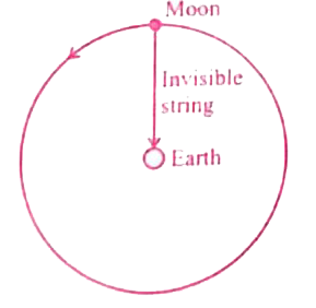 Imagine that the gravitational force between earth and moon  is provided by an invisible string  that exist  between the moon and earth what is the tension that exists in this invisible string   due to earth centripetal force    (Mass of the moon =7.34 xx10^(22)kg distance between moon and earth =3.84 xx10^(8)m)