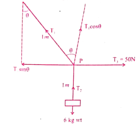 A mass of 6kg is suspended by a rope of  length 2m from a celling a force of 50N in the horizontal  direction is applied at the  midpoint of the rope as shown in the figure what is the angle the rope makes with the vertical is equalibrium take g=10 ms^(-2)  neglect mass of the rope