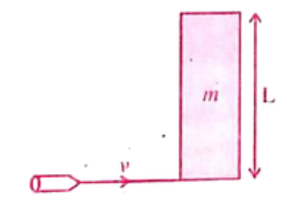A rod of length L and mass M is hinged at point O. A small bullet of mass m ihits the rod with velocity v as shown in the figure. The bullet gets embedded in the rod. Calculate the angular velocity of the system just after the impact?