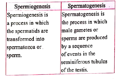 ocr_image