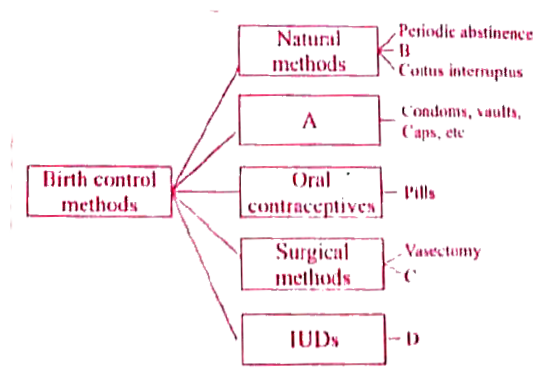Select the correct term from the bracket and complete the given branching tree.      (Barriers, Lactational amenorrhoea, CuT, Tubectomy)