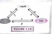 Study the Fig.1.13. for interconversion of states of matter carefully and answer the following questions: To which state of matter a liquid changes on increasing the temperature?