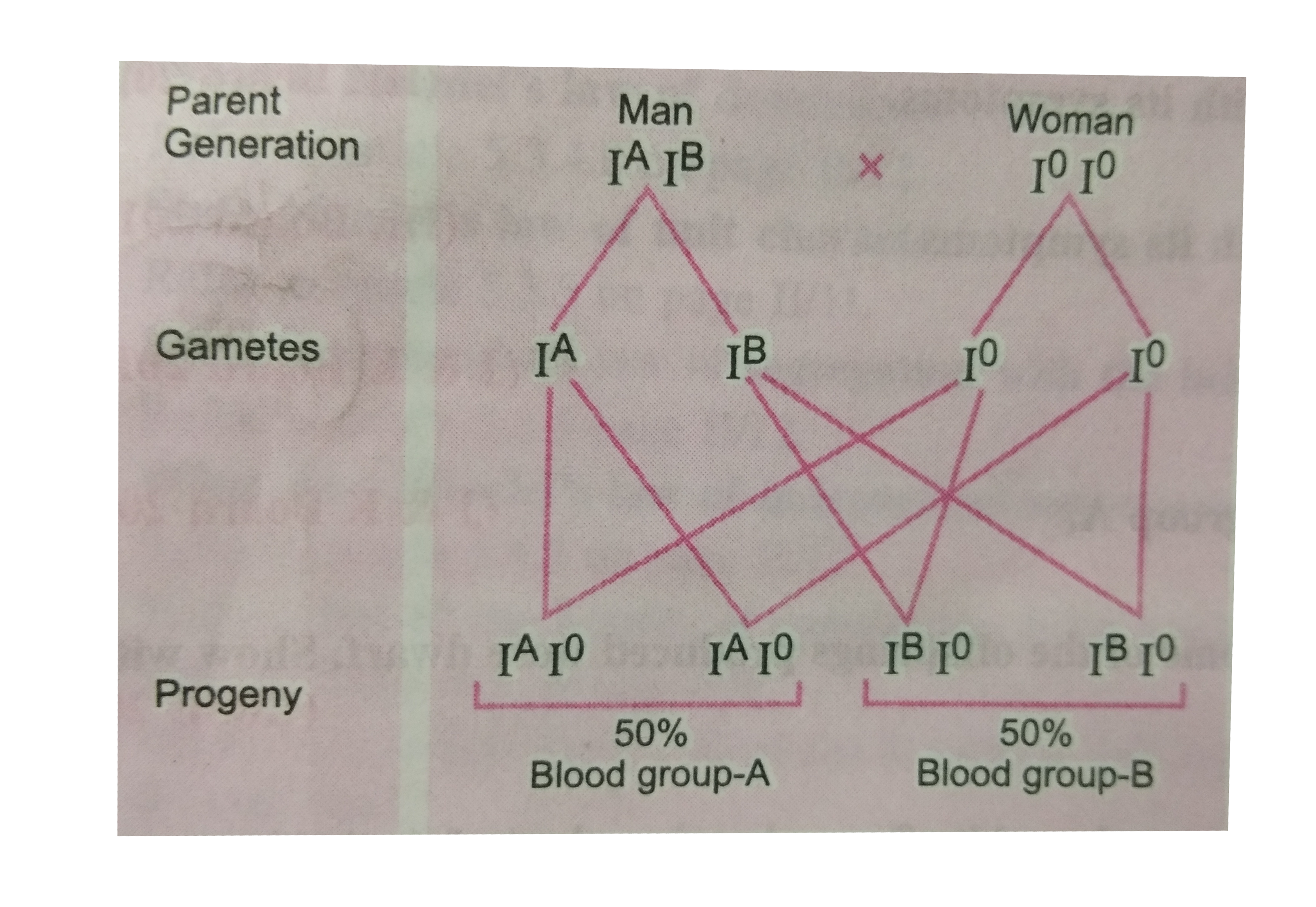 ocr_image