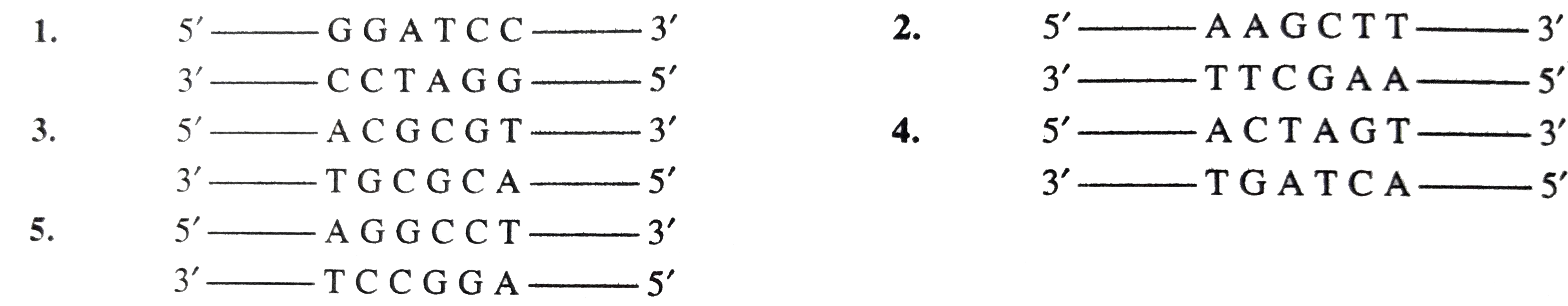 palindromic sequence examples