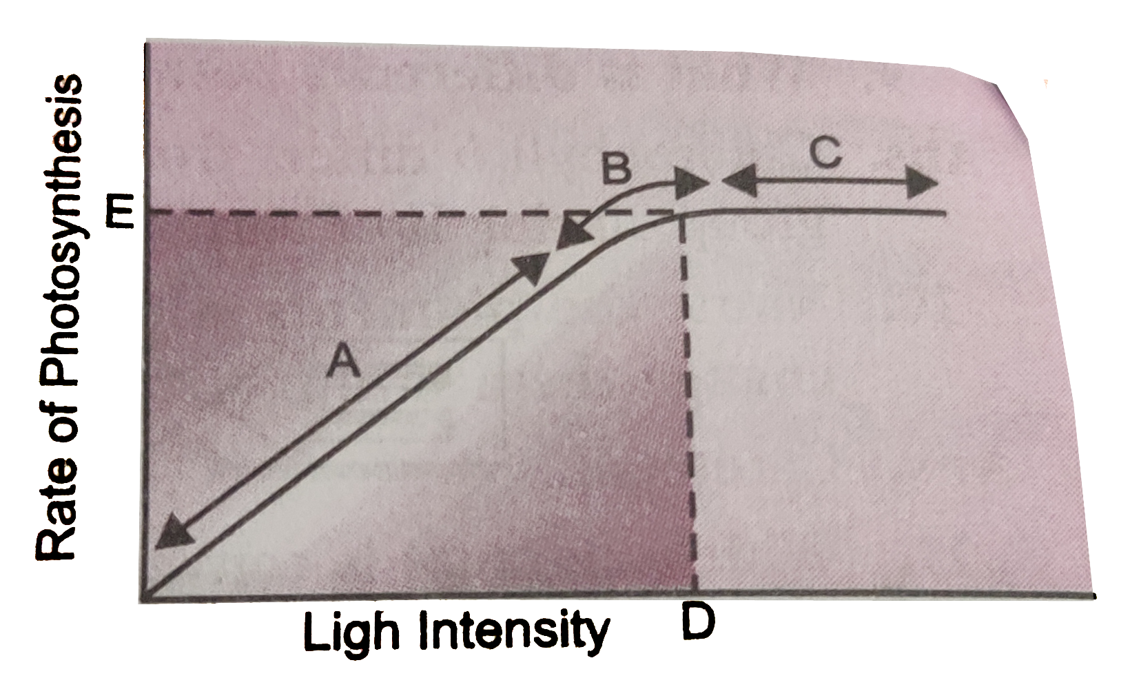 Figure shows, the effect of light on the rate of photosynthesis Based on the graph, answer the following questions.   a) At which points (A,B or C) in the curve is light a limiting factor?       b) What could be the limiting factor/s in region A?   c) What do C and D represent on the curve?