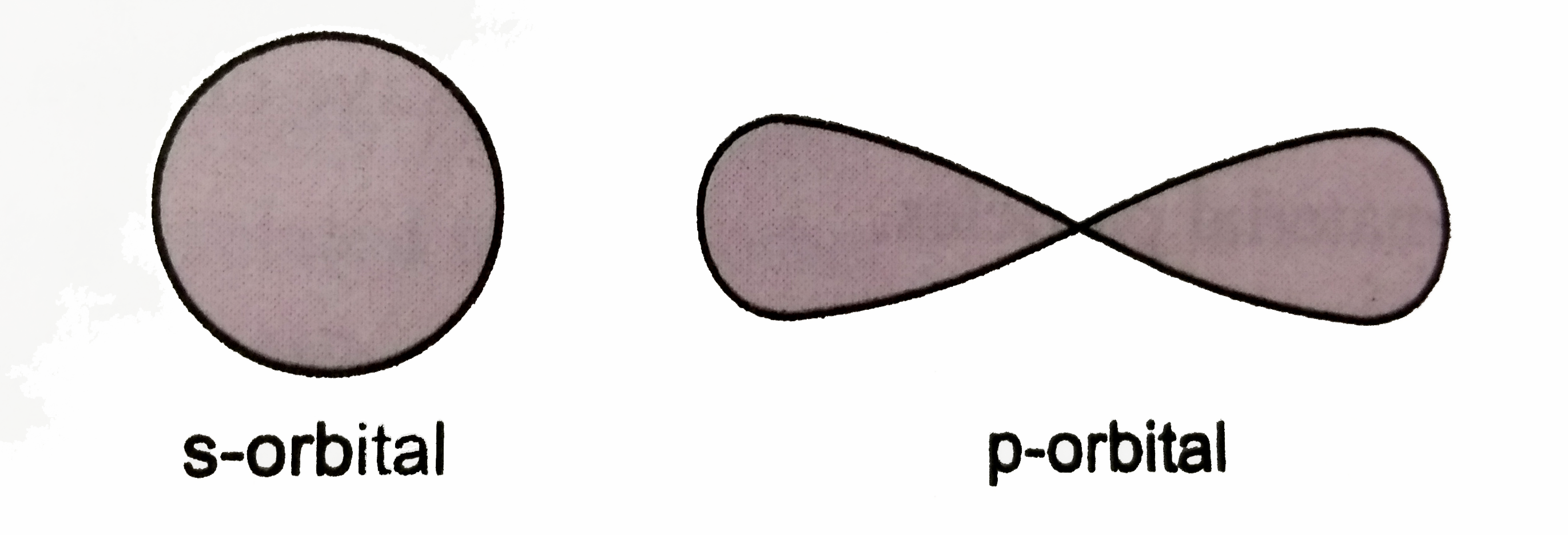 What is the physical significance of the lines in the following depictions of atomic orbitals ?