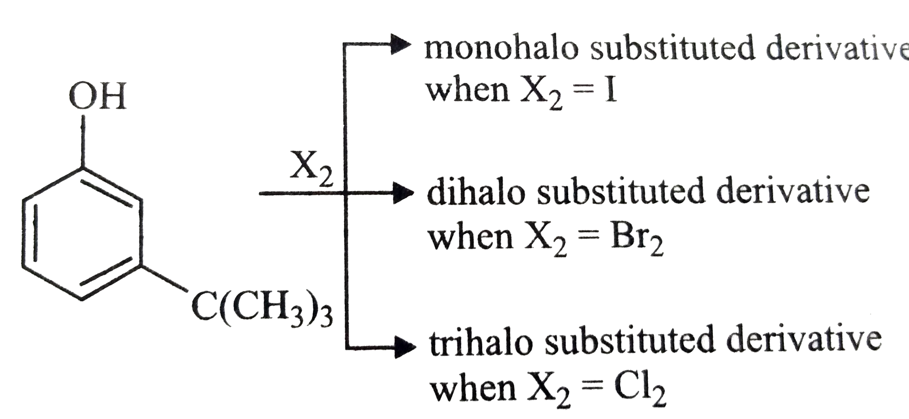 The reactivity of compound Z with different halogens under appropriate conditions is given below:      The observed pattern of electrophilic substitution can by explained by