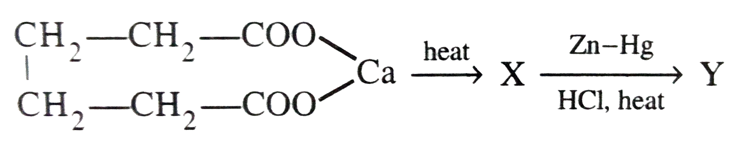 Identify the product Y in the following reaction sequence.