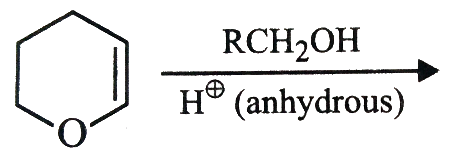 The major product of the following reaction is