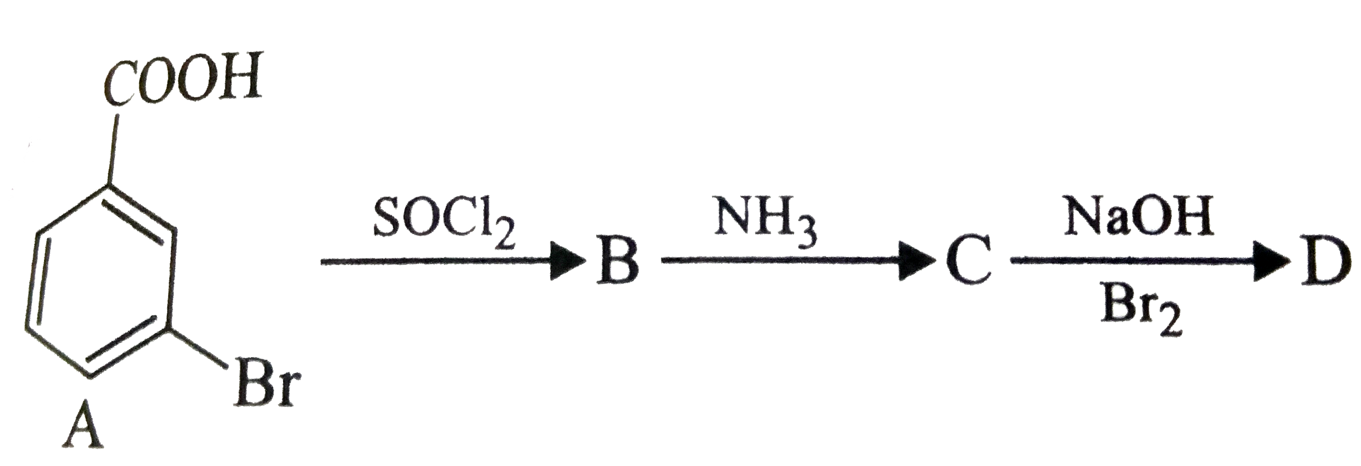 In a set of reactions, m-bromobenzoic acid gave a product D. identify the product D.
