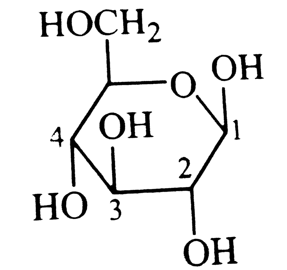 epimeric and anomeric carbon