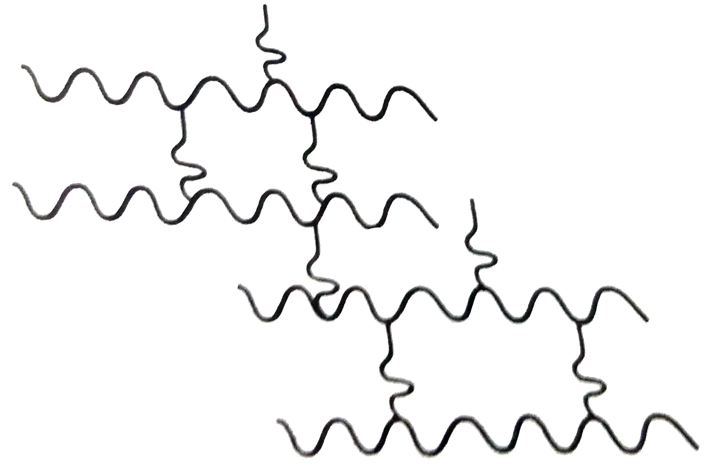 Identify the type of polymer given in the following figure.