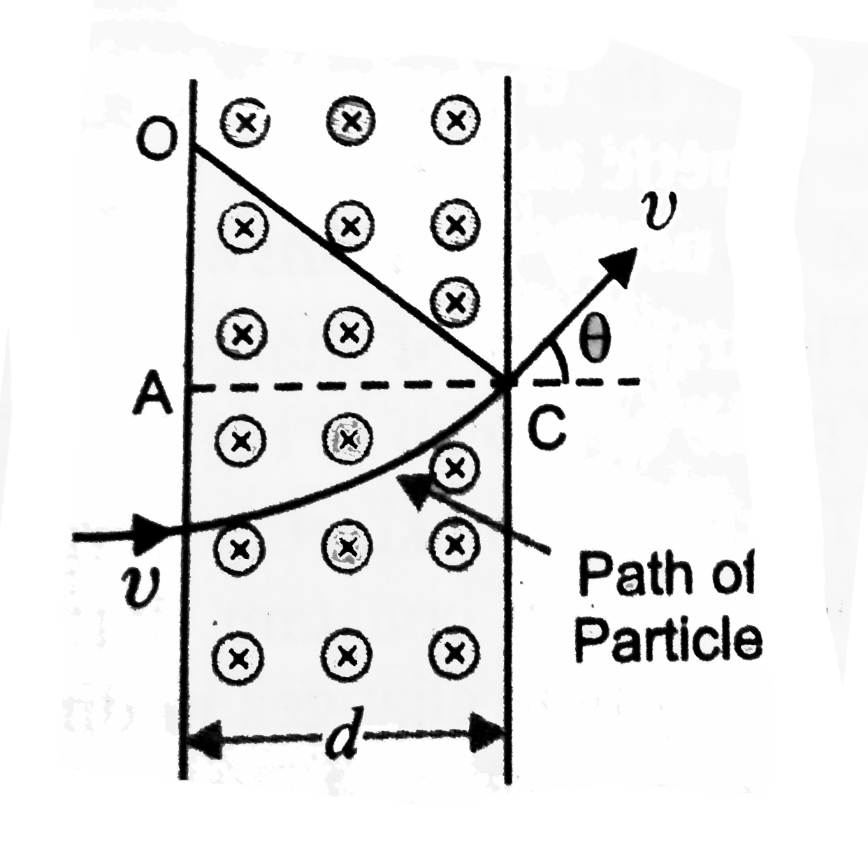 A proton and an alpha particle are projected in a perpendicular magnetic field B which exists in a region of width d, figure. Find the ratio of the sines of angles of deviation suffered by the proton and the alpha particle if before entering the magnetic field both the particles (i) have the same momentum (ii) have the same kinetic energy.