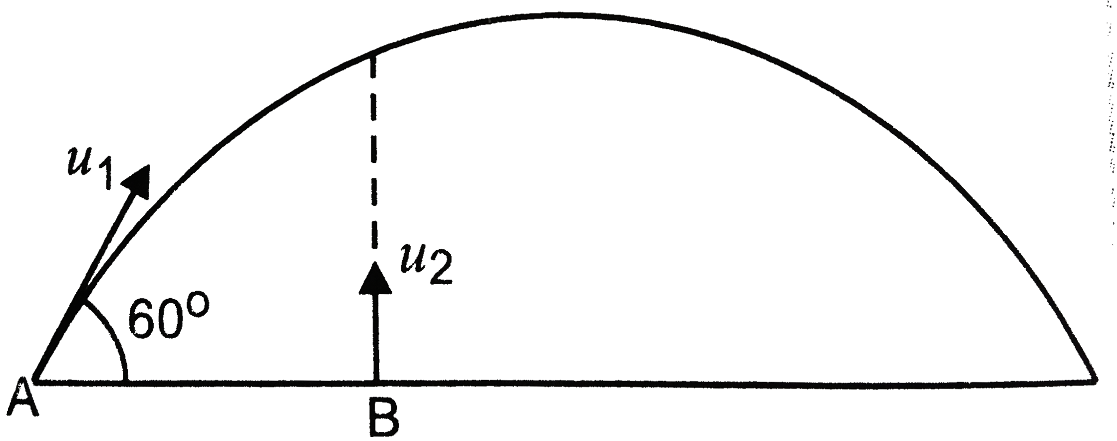 A  body is projected with the velocity  u1 from the point (A) as shown in Fig. 2. (d). 37. At the same time another body is projected vertically upwards with the velocity  u2 from the point (B) .What should be the value of  u1//u1 for both the bodies to collide ?   .