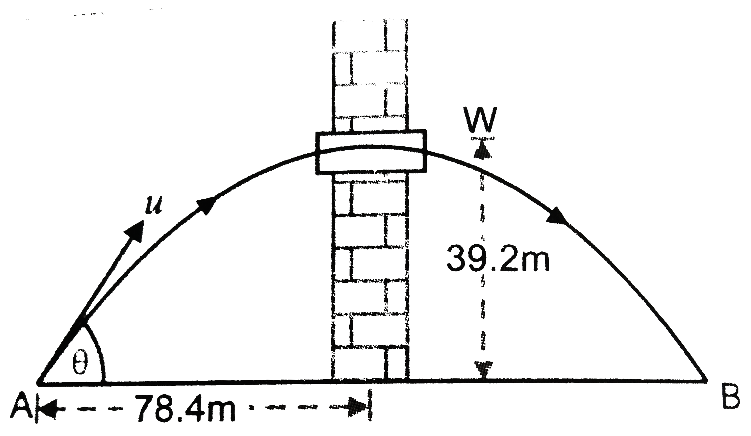 A body stans at 78.4 m from a building and throws a ball which just enters a window  39.2 m above the ground. Calculate the velocity of projection of the ball. Fig. 2 (d) . 22.   .