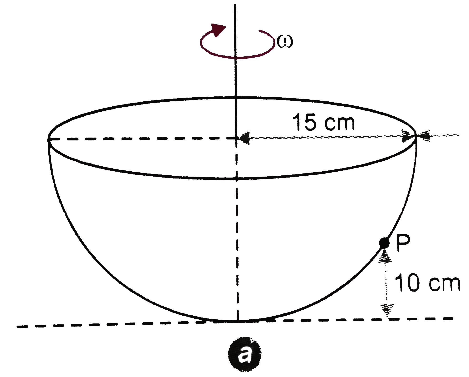 A smooth hemispherical bowl  30 cm diameter, rotates with a constant angular velocity   omega, about its vertical axis of symmetry Fig. 2 (APC) . 2 (a) . A particle at (P) of weighing  5 kg is observed to remain at rest relative  to the bowl at a height 10 cm above the base. Find the magnitude of the force exerted by the bowl on the particle and speed of rotation of the bowl.   .