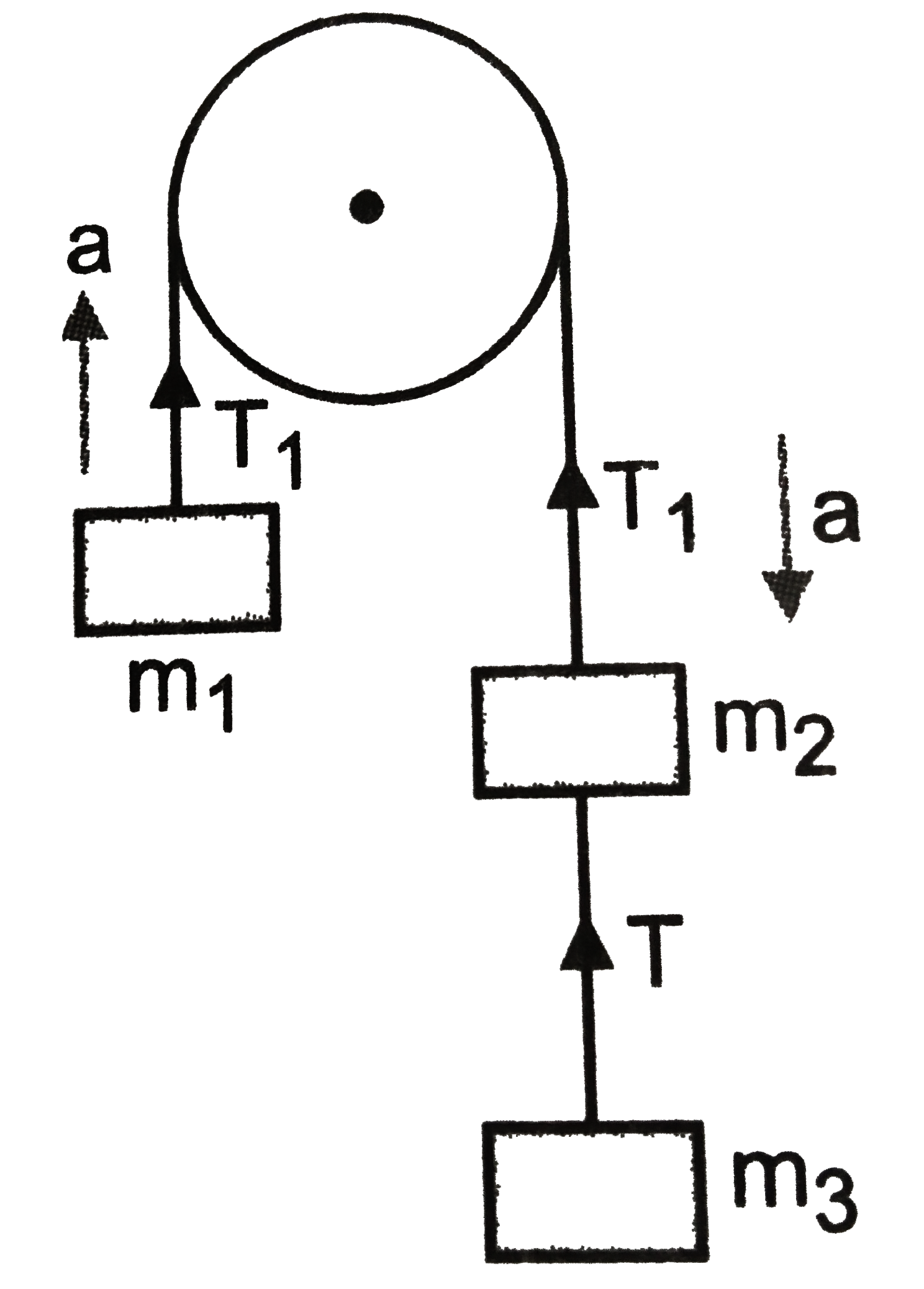 In the arrangement shown in show that tension in the string between masses m(2) and m(3) is T = (2 m(1) m(3) g)/(m(1) + m(2) + m(3))