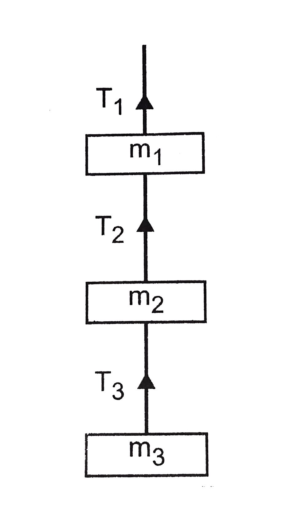 The masses m(1) m(2) and m(3) of the three bodies shown in fig . Are 5 , 2 and 3 kg respectively Calculate the valuse of tension T(1) T(2) and T(3) when (i) the whole system is going upward with an acceleration of  2 m//s^(2) (ii) the whole system is stationary  (g=9.8 m//s^(2)) .    .