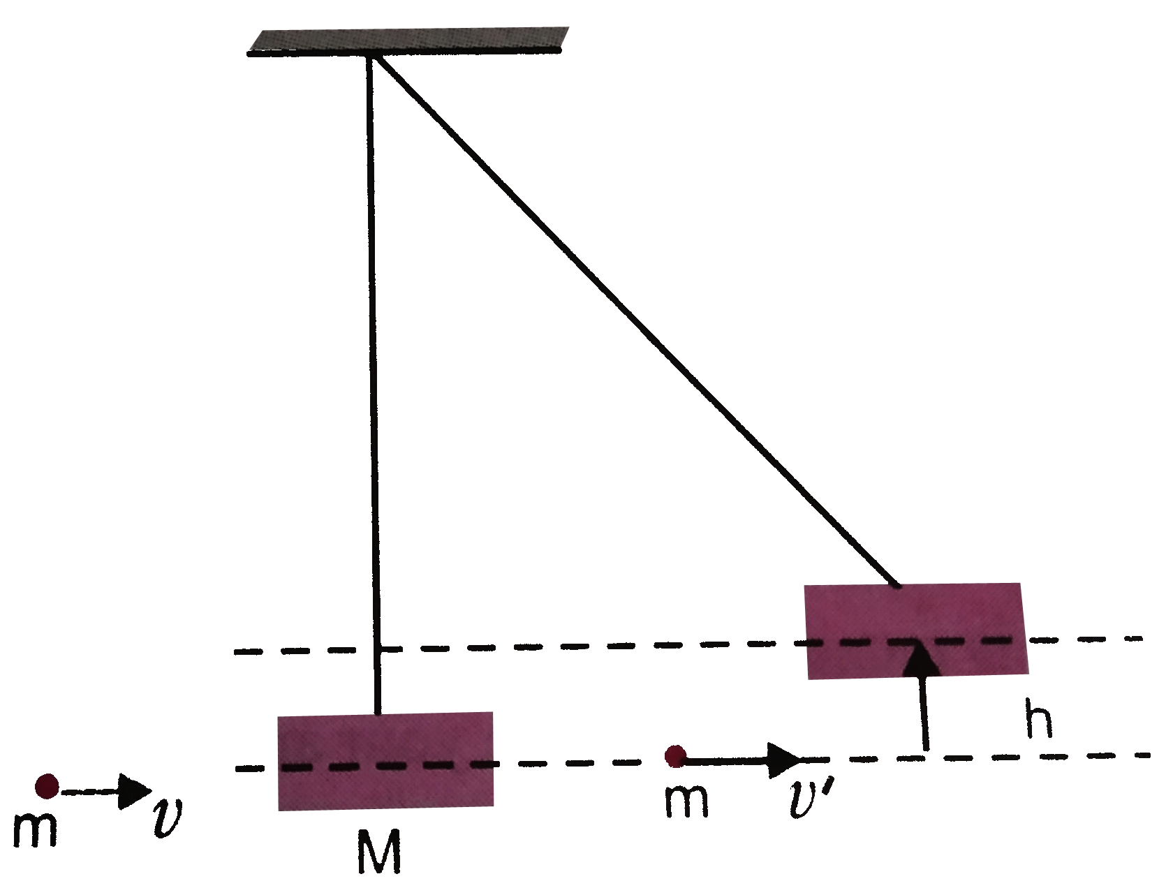 A bullet of mass 0.01 kg and travelling at a speed of 500 m/s strikes a block of mass 2 kg which is suspended by a string of length 5m. The center  of gravity of the block is found to rise a vertical distance of 0.1m, figure. What is the speed of the bullet after it emerges from the block ? (g=9.8 m//s^2).