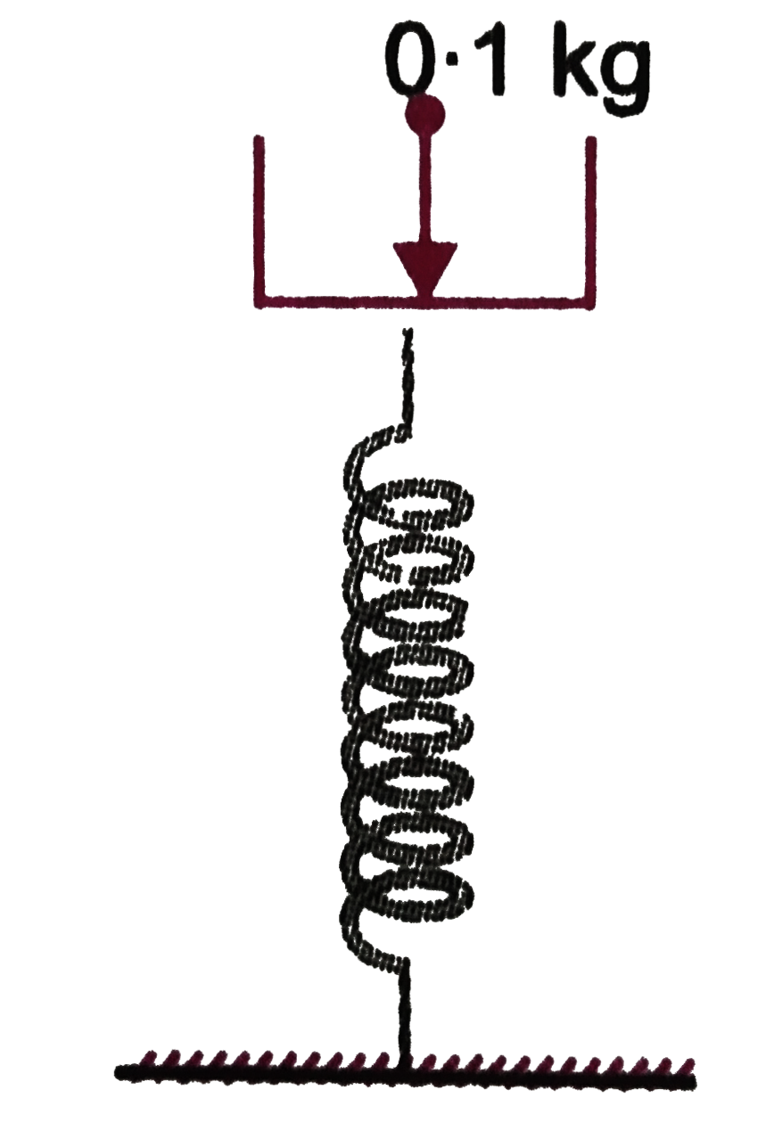 A massless platform is kept on a light elastic spring as shown in figure. When a small stone of mass 0.1 kg is dropped on the pan from a height of 0.24 m, the spring compresses by 0.01m. From what height should the stone be droppped to cause a compression of 0.04m in the spring ?