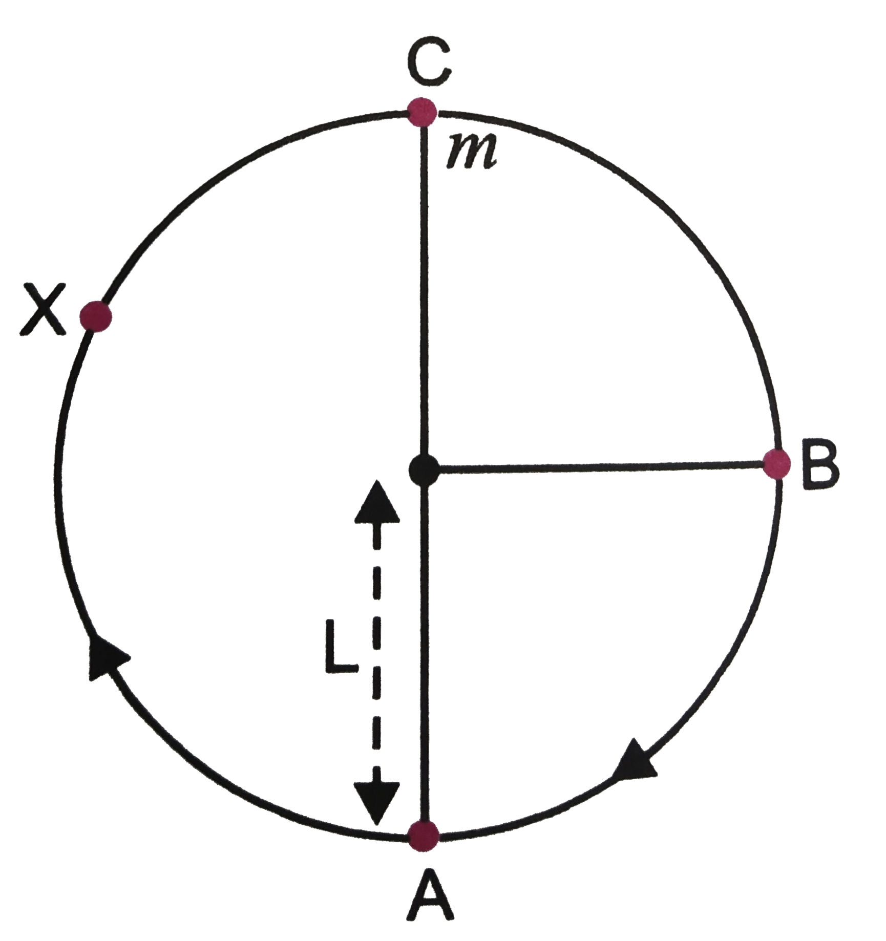 A bob of mass m suspended by a light string of length L is whirled into a vertical circle as shown in figure . What will  be the trajectory of the particle if the string is cut at   (a) Point B ? (b) Point C? (c) Point X?