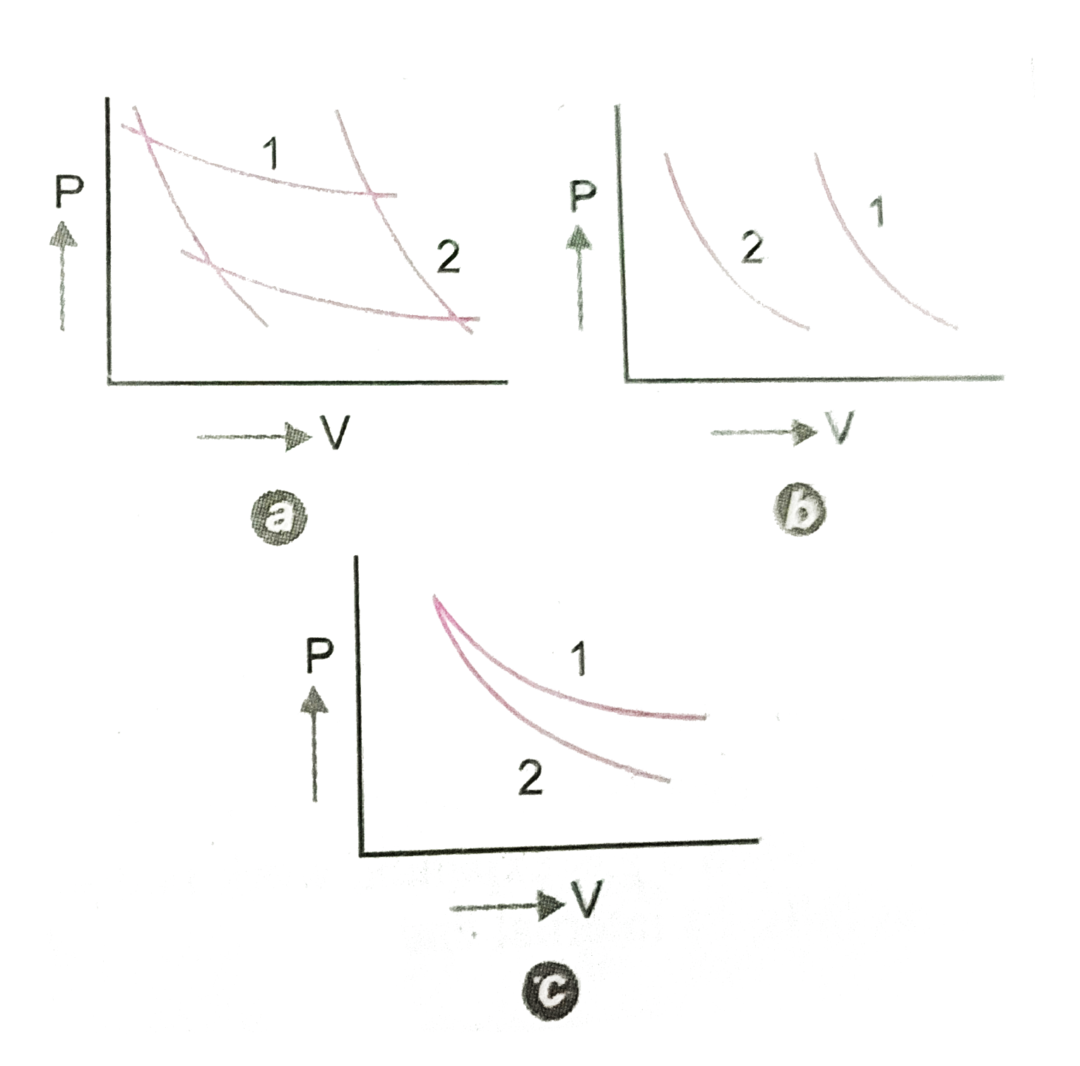 Identify isothermal and adiabatic process in the following diagram