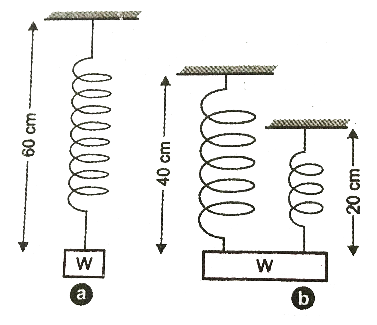 A block of weight W produces an extension of 9cm when it is hung by an elastic spring of length of 60cm and is in equilibrium. The spring is cut into two parts, one of length 40cm and the other of length 20cm. The same load W hangs in equilibrium supported by both parts as shown in figure. The extension in cm is