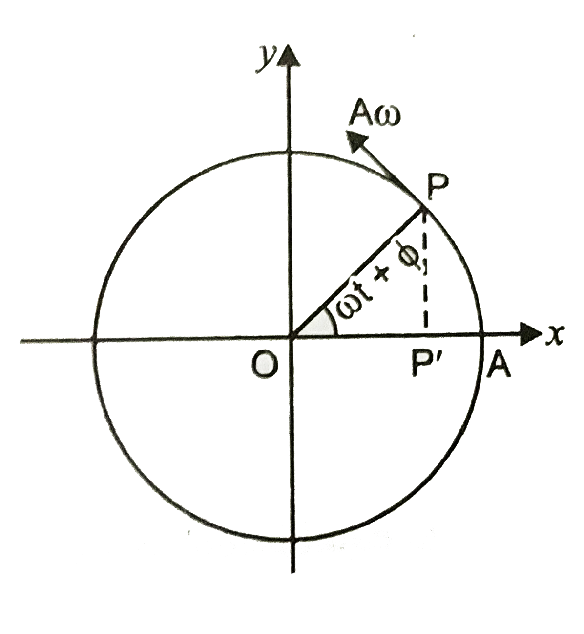 What will be sign of the velocity  of the point P^('), which is the projection of the velocity of the reference particle P? P is moving in the circle of radius R in anticlockwise direction.