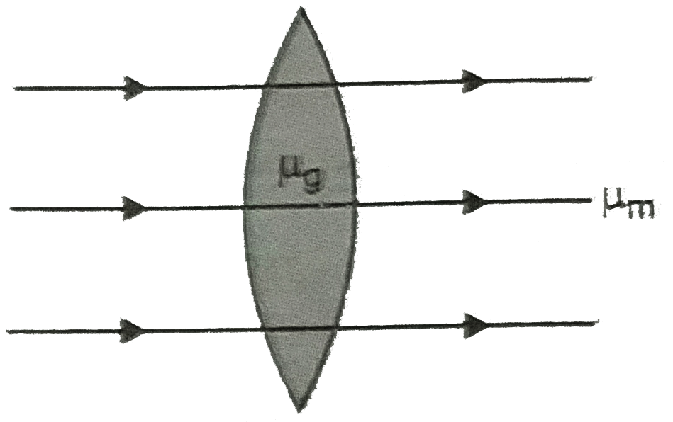 A convex lens of refractive index mug is held in a reansparent medium of refractive index mum If course of rays is as shown in Fig., how are mug and mum related ?   .