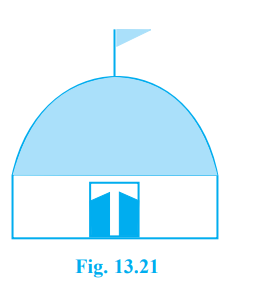 A hemispherical dome of a building needs to be painted (see Fig. 13.21). If the circumference of the base of the dome is 17.6 m, find the cost of painting it, given the cost of painting is ₹5 per 100 cm^2 .